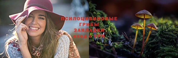 бошки Белоозёрский