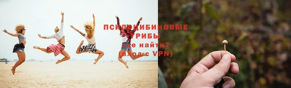 дживик Белокуриха