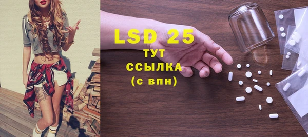 дживик Белокуриха