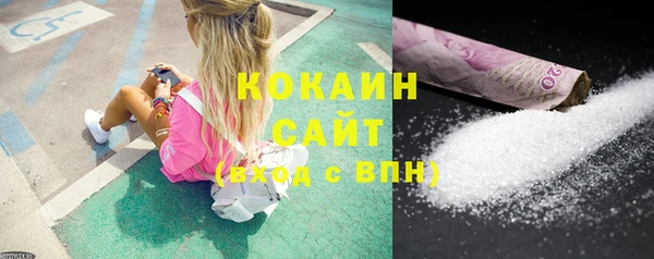 дживик Белокуриха