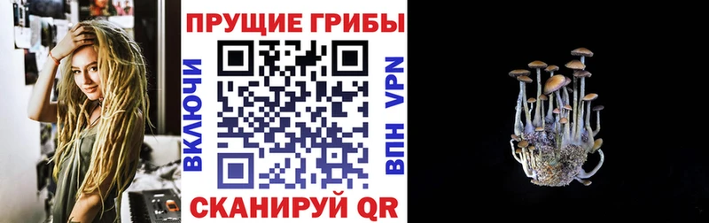 мориарти официальный сайт  гидра рабочий сайт  Кремёнки  Галлюциногенные грибы Psilocybine cubensis 